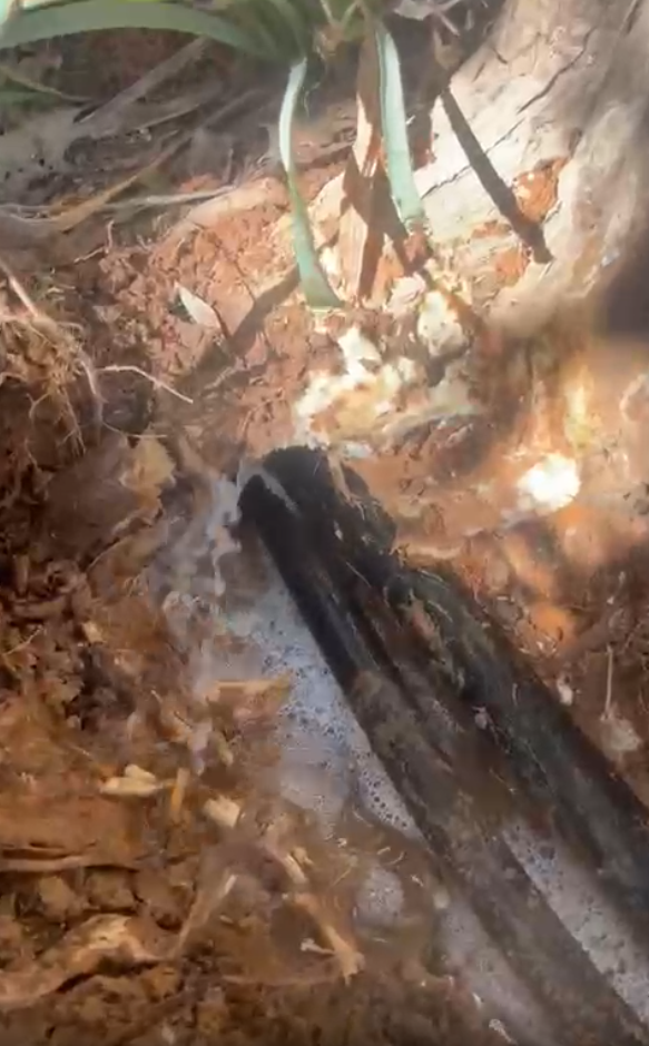 תצוגה מקדימה 03