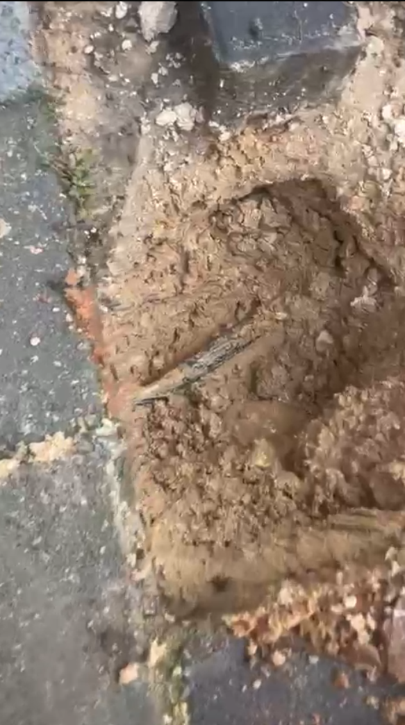 תצוגה מקדימה 04